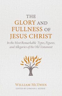 Produktbild: The Glory and Fullness of Jesus Christ