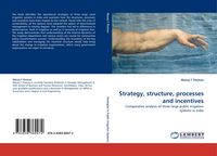 Produktbild: Strategy, structure, processes and incentives