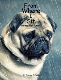 Produktbild: From Where I Sit (things look funny)
