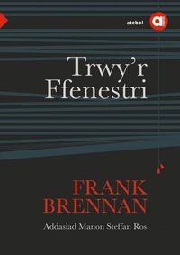 Produktbild: Cyfres Amdani: Trwy'r Ffenestri
