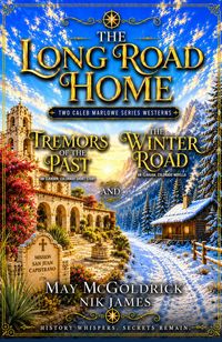 Produktbild: The Long Road Home