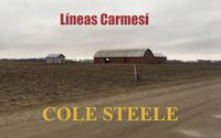 Produktbild: L&iacute;neas Carmes&iacute;