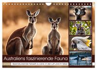 Produktbild: Australiens faszinierende Fauna (Wandkalender 2026 DIN A4 quer), CALVENDO Monatskalender