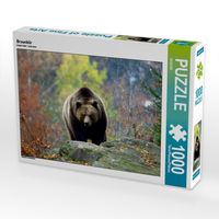 Produktbild: CALVENDO Puzzle Braunb&auml;r | 1000 Teile Lege-Gr&ouml;&szlig;e 64x48cm Foto-Puzzle f&uuml;r gl&uuml;ckliche Stunden