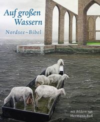 Produktbild: Auf gro&szlig;en Wassern