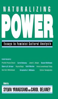 Produktbild: Naturalizing Power
