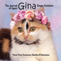 Produktbild: The Journal of Agent Gina Ginger Knickers Phase Three