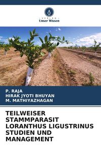 Produktbild: Teilweiser Stammparasit Loranthus Ligustrinus Studien und Management