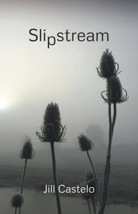Produktbild: Slipstream