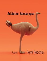 Produktbild: Addiction Apocalypse