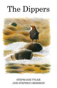 Produktbild: The Dippers