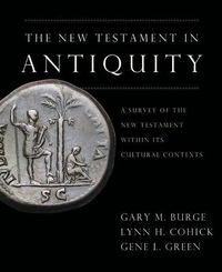 Produktbild: Nt in Antiquity