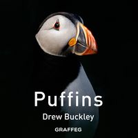 Produktbild: Puffins