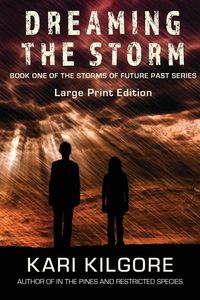 Produktbild: Dreaming the Storm