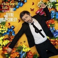 Produktbild: Charmed Life - The Best Of The Divine Comedy
