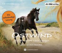 Auf der Suche nach Morgen / Ostwind Bd.4 Lea Schmidbauer