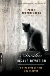 Produktbild: Another Insane Devotion