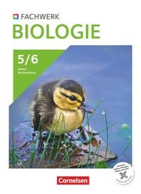 Produktbild: Fachwerk Biologie - Baden-W&uuml;rttemberg ab 2026 - 5./6. Schuljahr