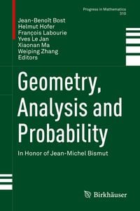 Produktbild: Geometry, Analysis and Probability