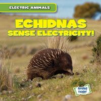 Produktbild: Mallory, L: Echidnas Sense Electricity!