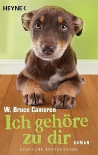 Produktbild: Ich geh&ouml;re zu dir