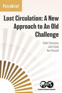 Produktbild: Lost Circulation
