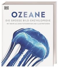 Produktbild: Ozeane