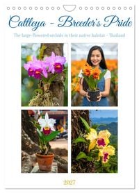 Produktbild: Cattleya - Breeder's Pride (Wall Calendar 2027 DIN A4 portrait), CALVENDO 12 Month Wall Calendar