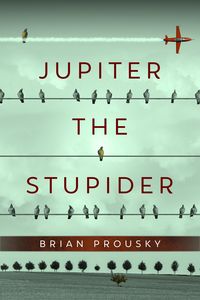 Produktbild: Jupiter the Stupider