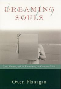 Produktbild: Dreaming Souls