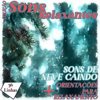 Produktbild: Cole&ccedil;&atilde;o Sons Relaxantes - sons de neve caindo