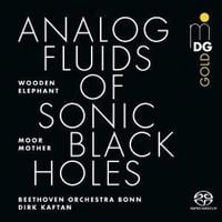 Produktbild: Analog Fluids of Sonic Black Holes