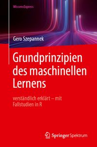 Produktbild: Grundprinzipien des maschinellen Lernens