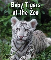 Produktbild: Baby Tigers At The Zoo