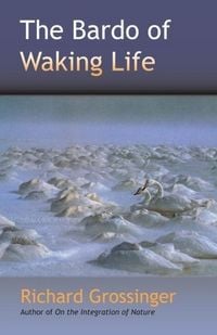 Produktbild: The Bardo of Waking Life