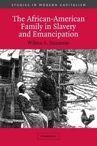 Produktbild: The African-American Family in Slavery and Emancipation
