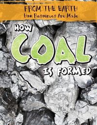 Produktbild: How Coal Is Formed