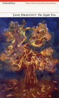 Produktbild: The Night Tree
