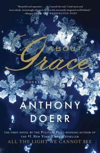 Bild vom Artikel About Grace vom Autor Anthony Doerr