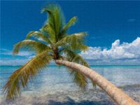 Produktbild: CALVENDO Puzzle Isla Saona 1000 Teile Lege-Gr&ouml;&szlig;e 640 x 480 cm Foto-Puzzle Bild von Stefan Schr&ouml;der - Photography