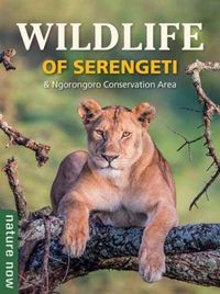 Produktbild: Wildlife of Serengeti & Ngorongoro Conservation Area
