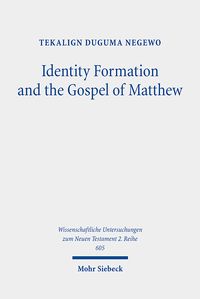 Produktbild: Identity Formation and the Gospel of Matthew