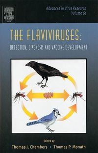 Produktbild: The Flaviviruses: Detection, Diagnosis and Vaccine Developme