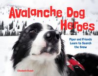 Produktbild: Avalanche Dog Heroes