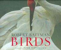 Produktbild: Birds