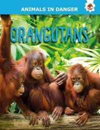 Produktbild: Kington, E: Orangutans