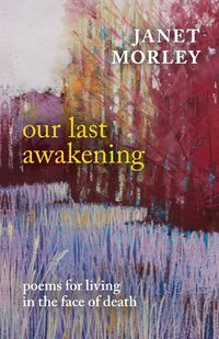 Produktbild: Our Last Awakening