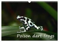 Produktbild: Poison dart frogs / UK-Version / Birthday Calendar (Wall Calendar 2026 DIN A3 landscape), CALVENDO 12 Month Wall Calendar