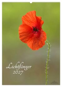 Produktbild: Lichtf&auml;nger (Wandkalender 2027 DIN A2 hoch), CALVENDO Monatskalender
