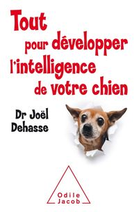 Produktbild: Tout pour d&eacute;velopper l'intelligence de votre chien